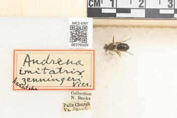 Media type: image;   Entomology 770329 Aspect: Labels